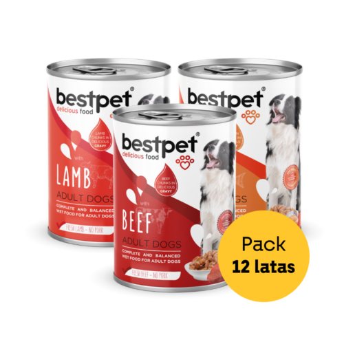 pack mix 12 latas