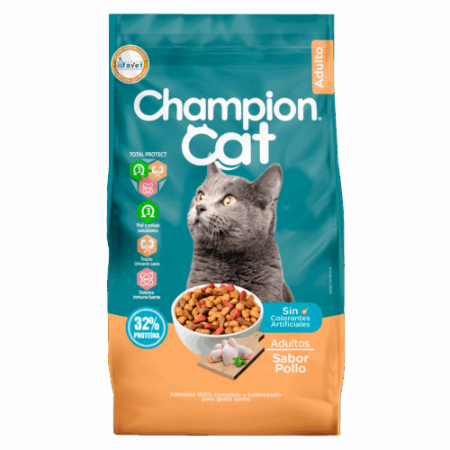 champion cat pollo